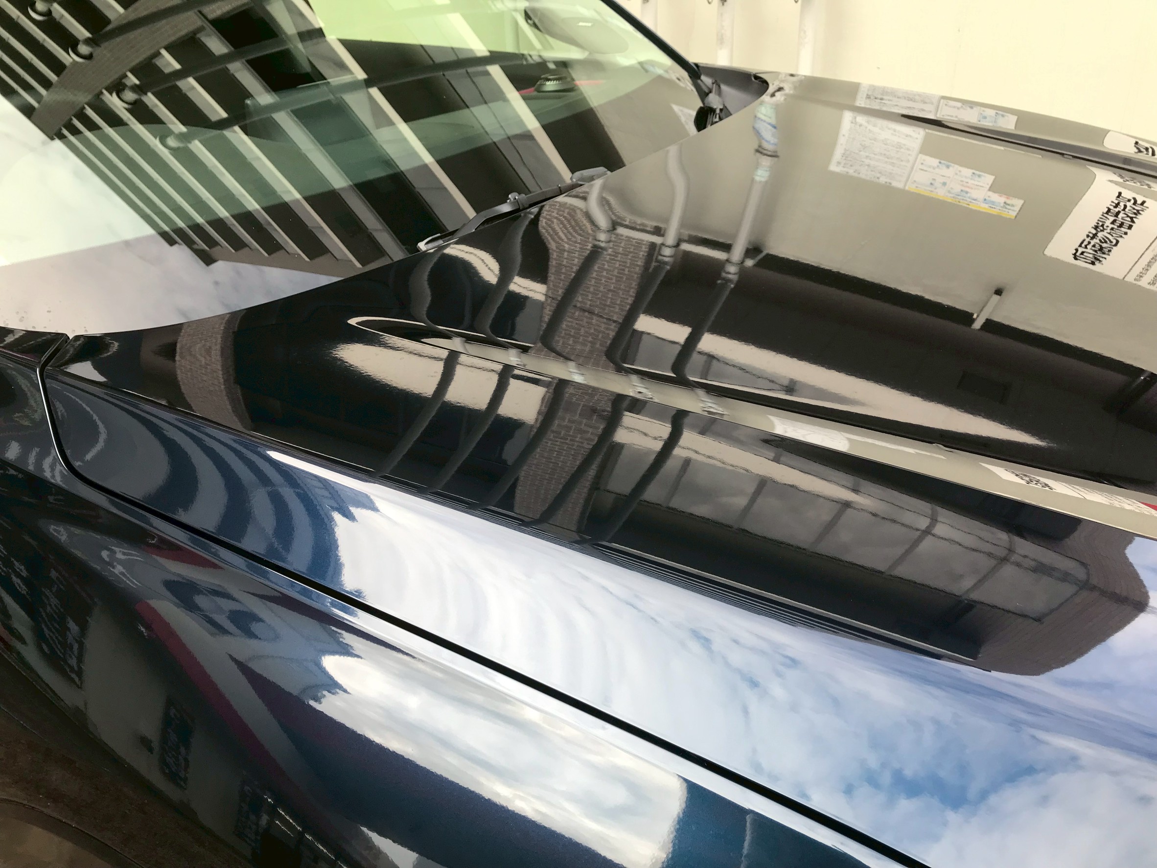 ＮＯＪ大分のスケール除去【動画付き】